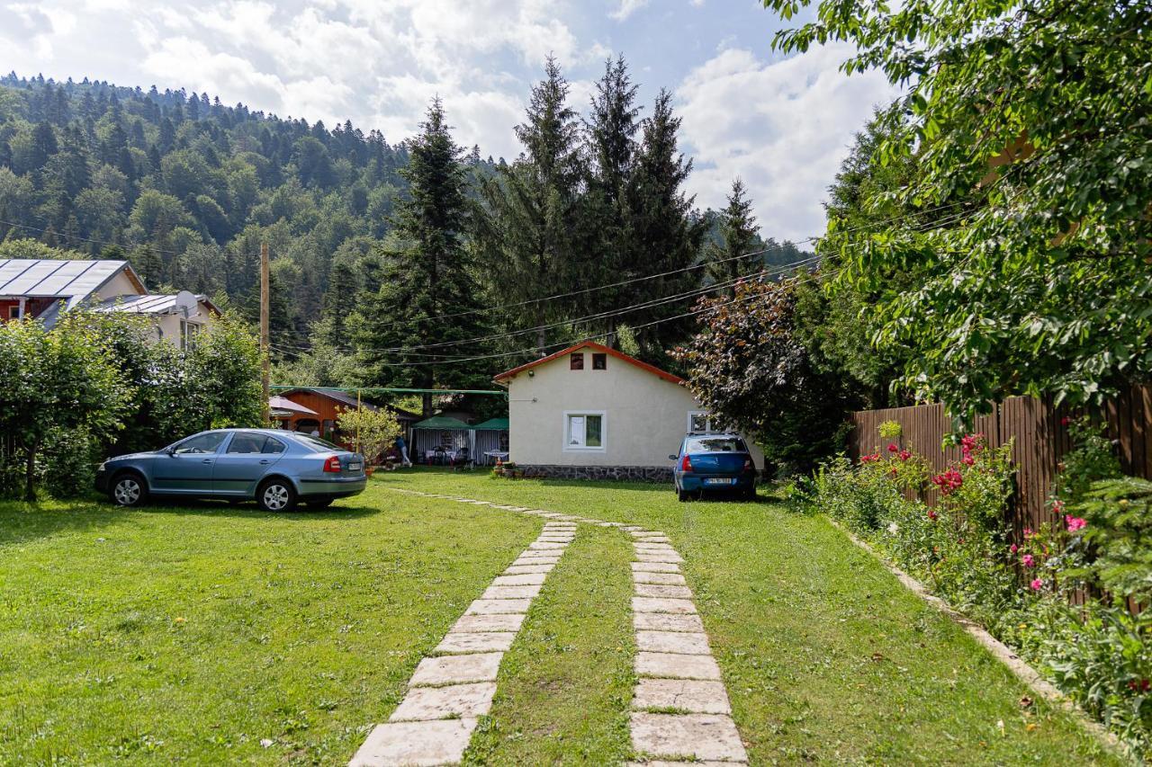Pensiunea Montan Буштени Экстерьер фото