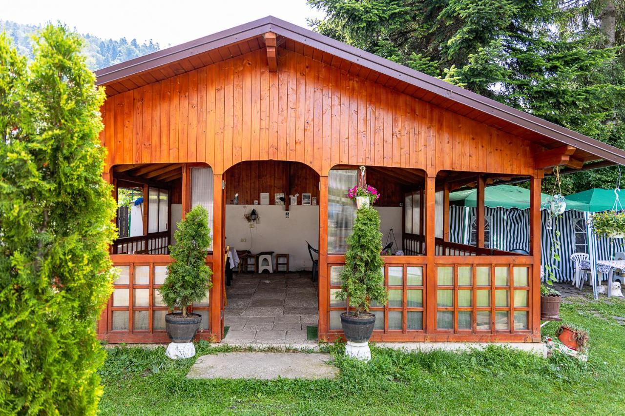Pensiunea Montan Буштени Экстерьер фото
