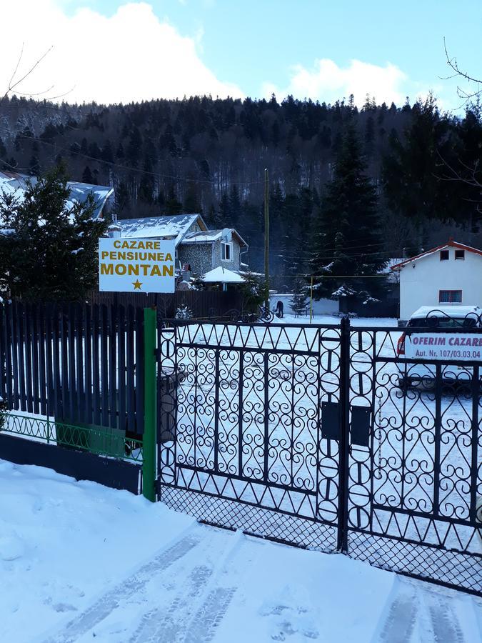 Pensiunea Montan Буштени Экстерьер фото