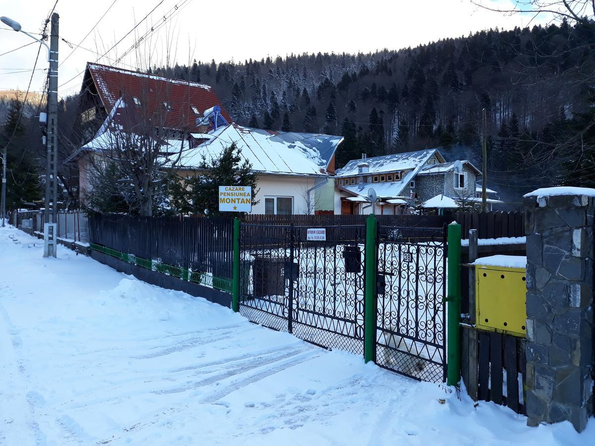 Pensiunea Montan Буштени Экстерьер фото